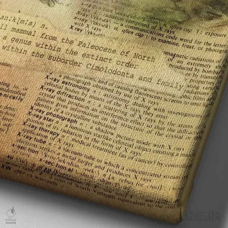 تابلو X (حرف الفبا) اثر فایو بای فایو کالکتیو - نمای نزدیک بافت بوم