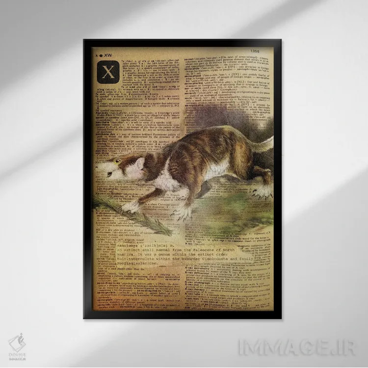 تابلو X (حرف الفبا) اثر فایو بای فایو کالکتیو - نمای قابدار مشکی