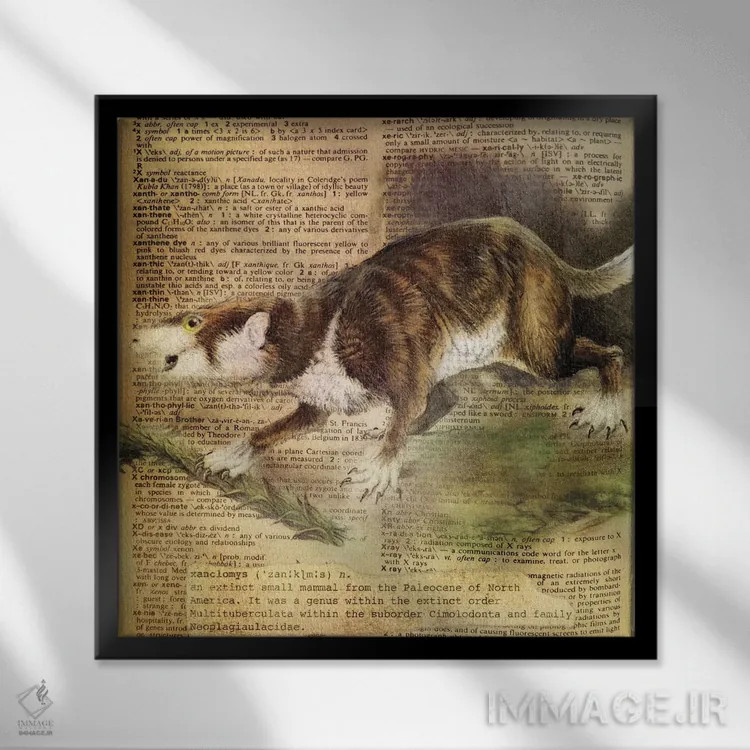 تابلو X (حرف الفبا) اثر فایو بای فایو کالکتیو - نمای قابدار مشکی