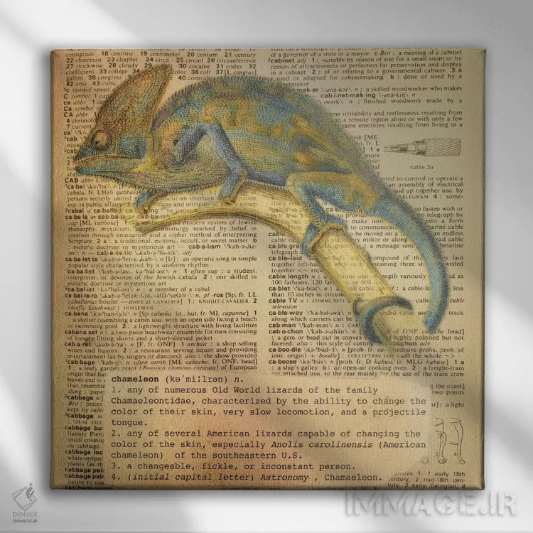 تابلو C (حرف الفبا) اثر فایو بای فایو کالکتیو - نمای روبهرو روی دیوار