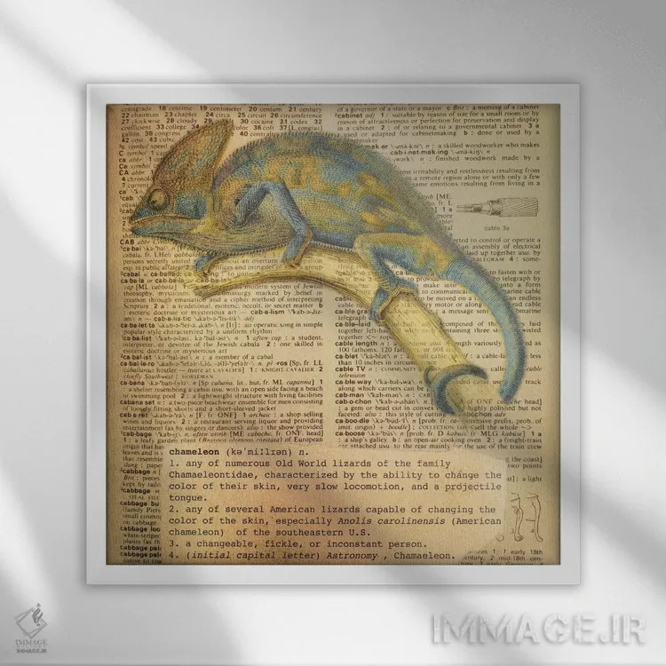 تابلو C (حرف الفبا) اثر فایو بای فایو کالکتیو - نمای قابدار سفید