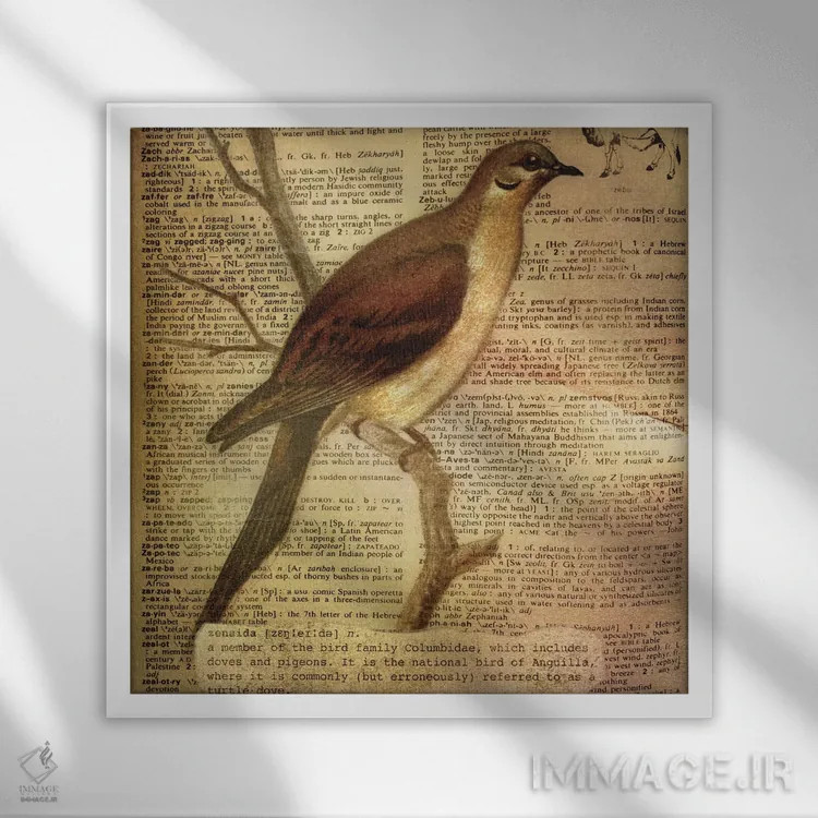 تابلو Z (حرف الفبا) اثر فایو بای فایو کالکتیو - نمای قابدار سفید