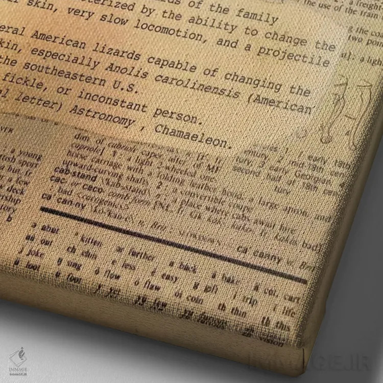 تابلو C (حرف الفبا) اثر فایو بای فایو کالکتیو - نمای نزدیک بافت بوم