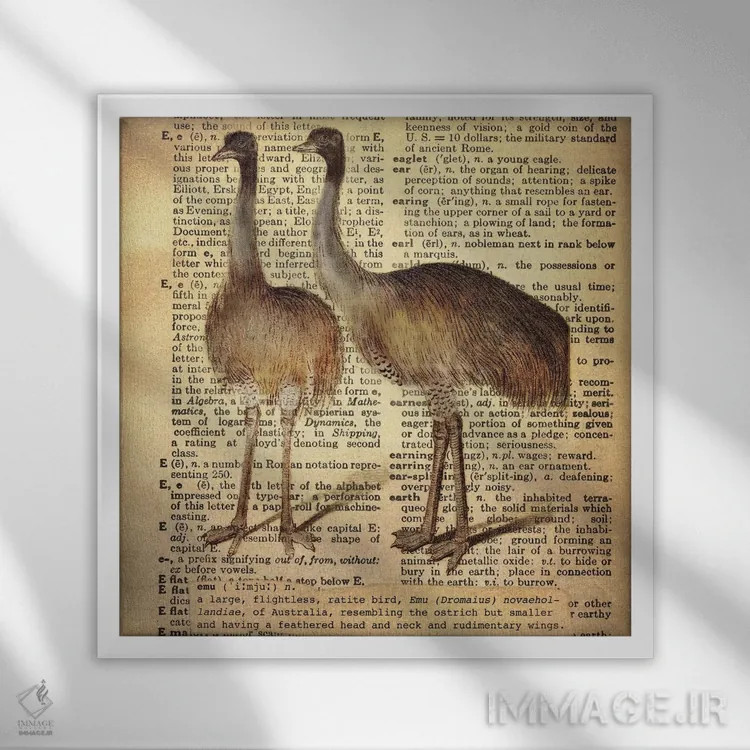 تابلو E (حرف الفبا) اثر فایو بای فایو کالکتیو - نمای قابدار سفید