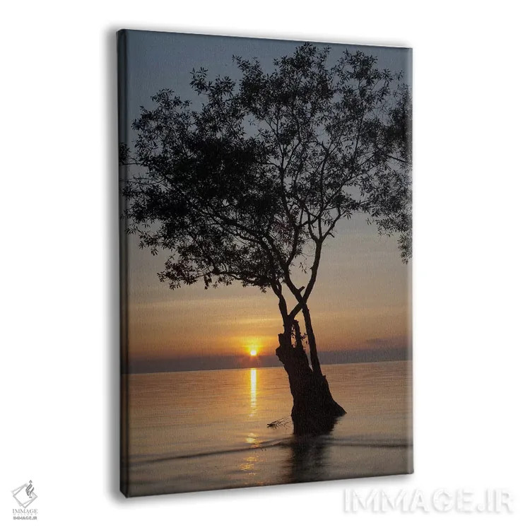 تابلو سایهنما در غروب اثر آرون متسون - نمای پرسپکتیو محصول