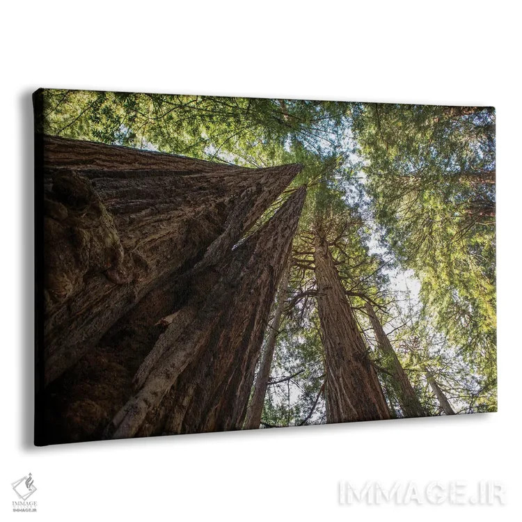 تابلو در شگفتی اثر آرون متسون - نمای پرسپکتیو محصول