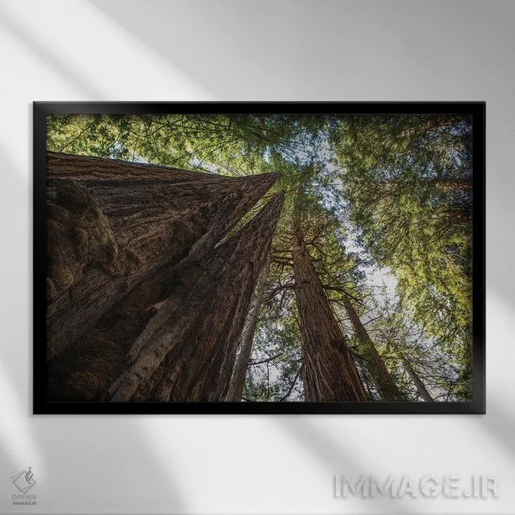 تابلو در شگفتی اثر آرون متسون - نمای قابدار مشکی