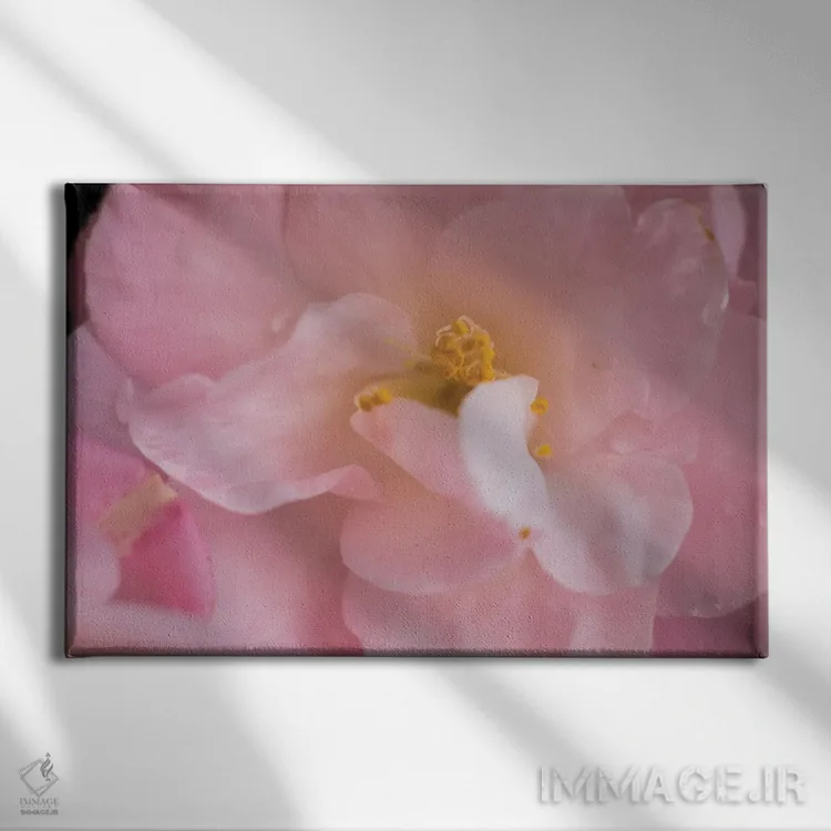 تابلو راههای اسرارآمیز II اثر آرون متسون - نمای روبهرو روی دیوار