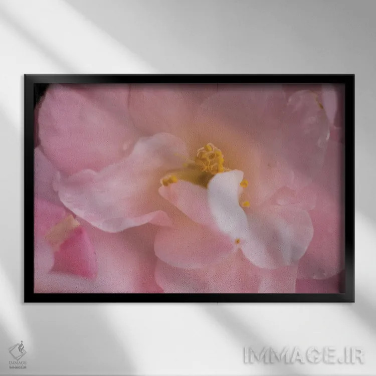 تابلو راههای اسرارآمیز II اثر آرون متسون - نمای قابدار مشکی