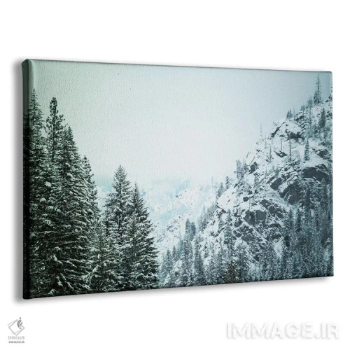 تابلو بارش برف در کسکیدیا II اثر آرون متسون - نمای پرسپکتیو محصول