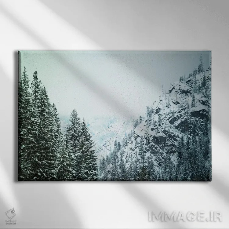 تابلو بارش برف در کسکیدیا II اثر آرون متسون - نمای روبهرو روی دیوار