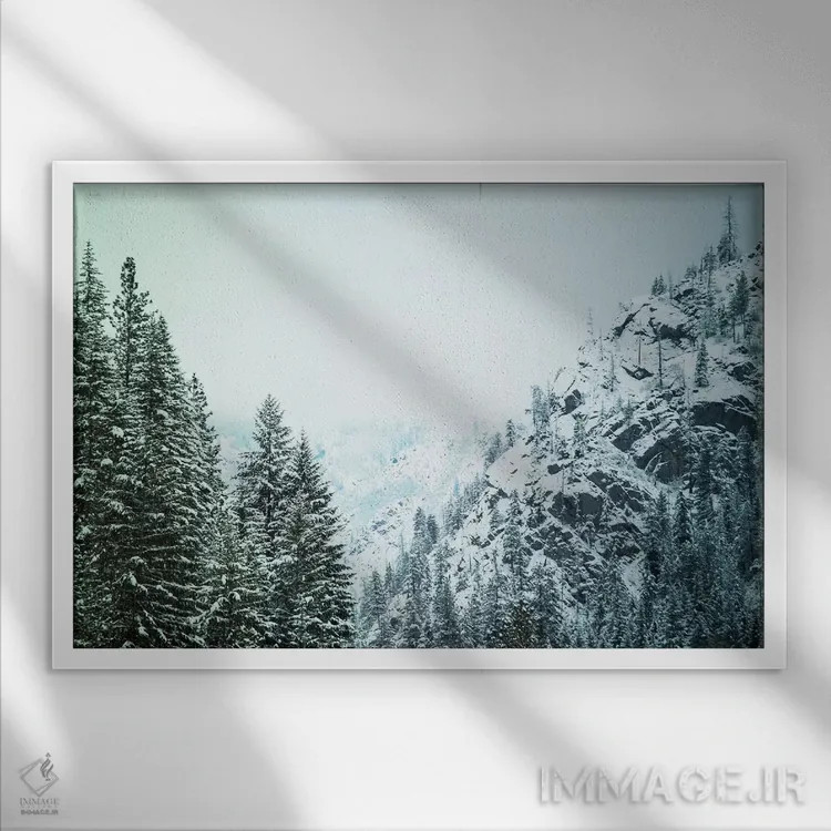 تابلو بارش برف در کسکیدیا II اثر آرون متسون - نمای قابدار سفید