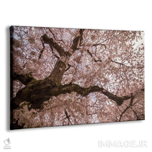 تابلو ورود بهار اثر آرون متسون - نمای پرسپکتیو محصول