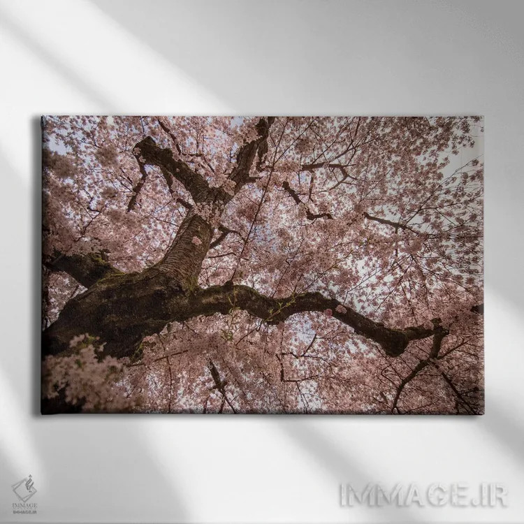 تابلو ورود بهار اثر آرون متسون - نمای روبهرو روی دیوار