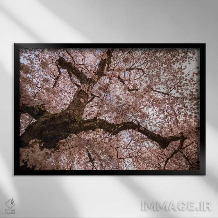 تابلو ورود بهار اثر آرون متسون - نمای قابدار مشکی