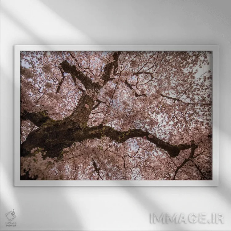 تابلو ورود بهار اثر آرون متسون - نمای قابدار سفید