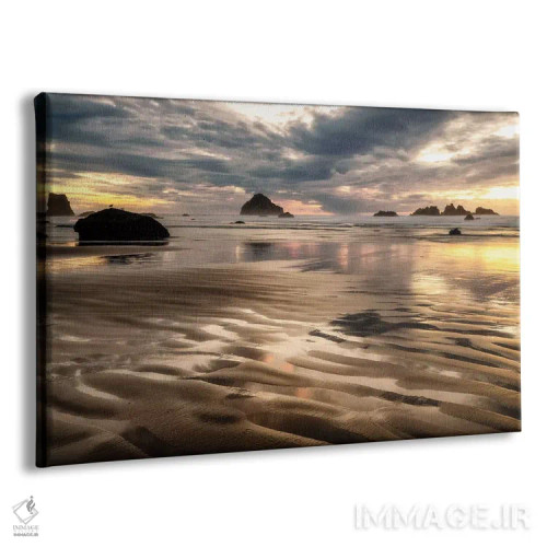 تابلو جزر و مد پایین اقیانوس آرام اثر اندی اموس - نمای پرسپکتیو محصول