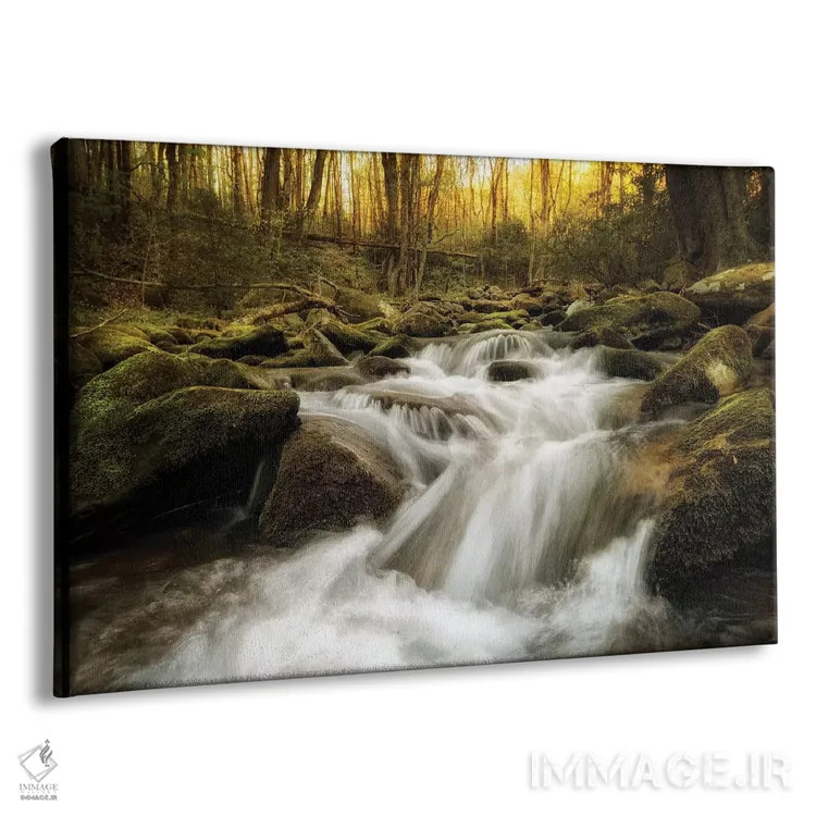 تابلو شاخهٔ خروشان اثر اندی اموس - نمای پرسپکتیو محصول