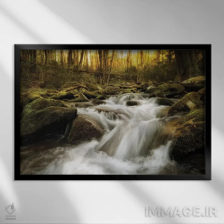 تابلو شاخهٔ خروشان اثر اندی اموس - نمای قابدار مشکی