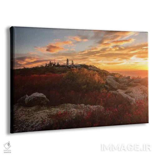 تابلو طلوع خورشید در پاییز II اثر اندی اموس - نمای پرسپکتیو محصول