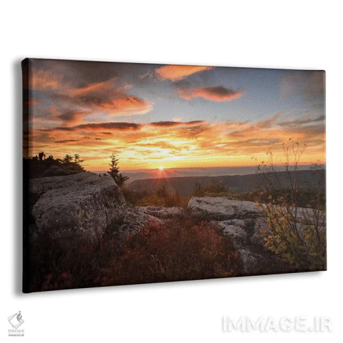 تابلو طلوع خورشید در پاییز I اثر اندی اموس - نمای پرسپکتیو محصول