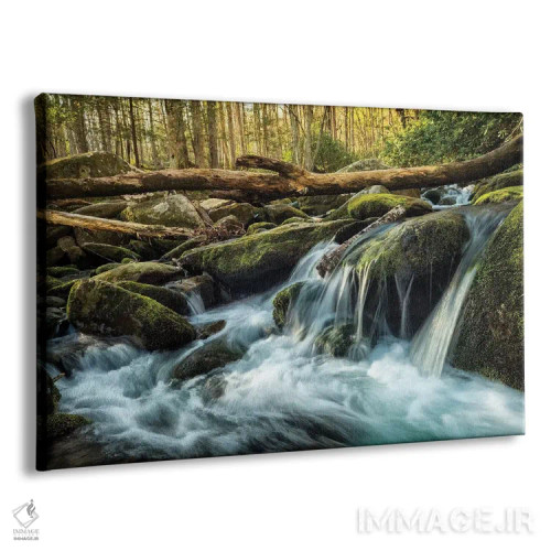 تابلو چوبها و سنگها اثر اندی اموس - نمای پرسپکتیو محصول