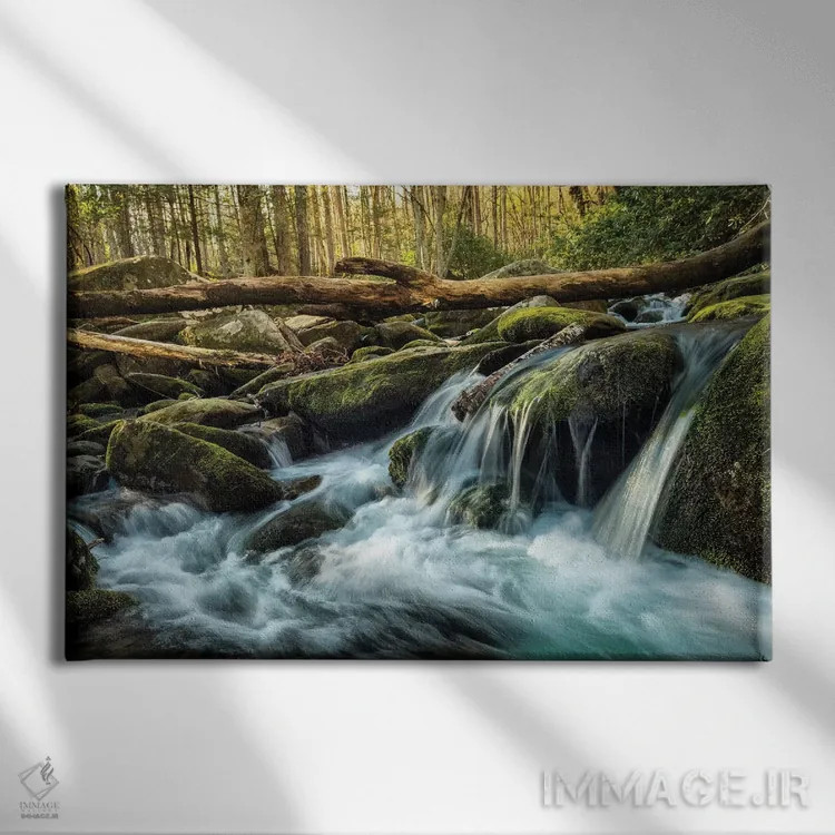 تابلو چوبها و سنگها اثر اندی اموس - نمای روبهرو روی دیوار