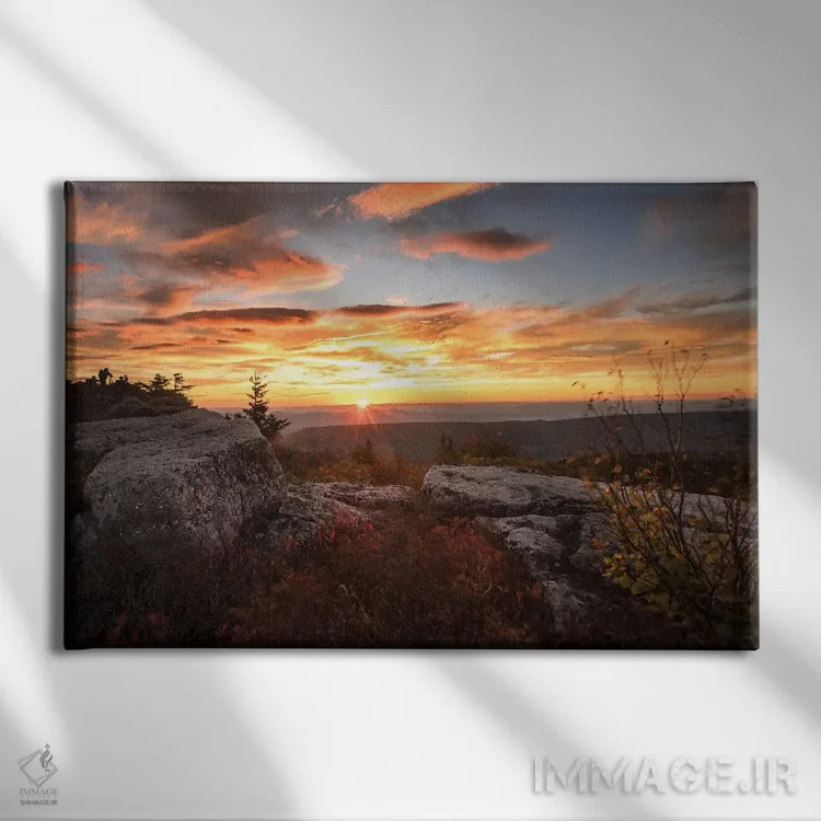 تابلو طلوع خورشید در پاییز I اثر اندی اموس - نمای روبهرو روی دیوار