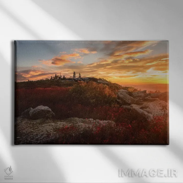 تابلو طلوع خورشید در پاییز II اثر اندی اموس - نمای روبهرو روی دیوار