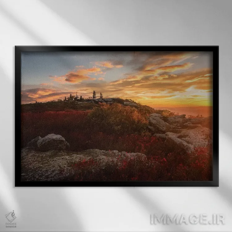 تابلو طلوع خورشید در پاییز II اثر اندی اموس - نمای قابدار مشکی