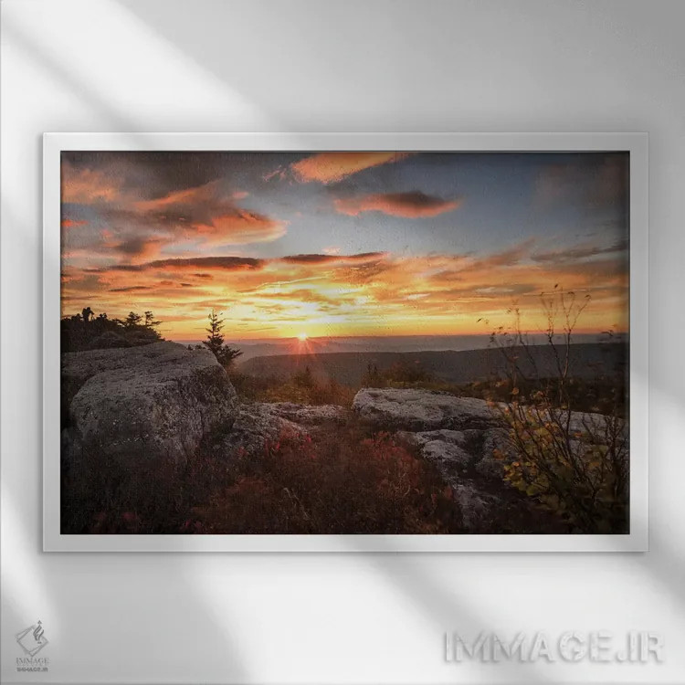 تابلو طلوع خورشید در پاییز I اثر اندی اموس - نمای قابدار سفید