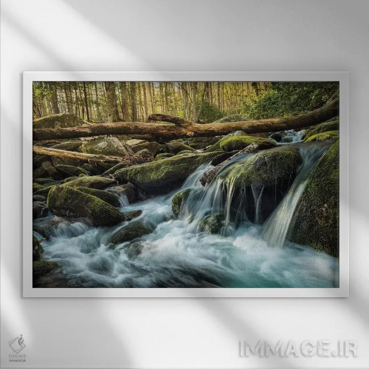 تابلو چوبها و سنگها اثر اندی اموس - نمای قابدار سفید