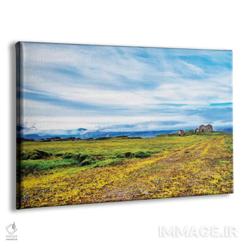 تابلو مزرعه رها شده اثر اندی اموس - نمای پرسپکتیو محصول