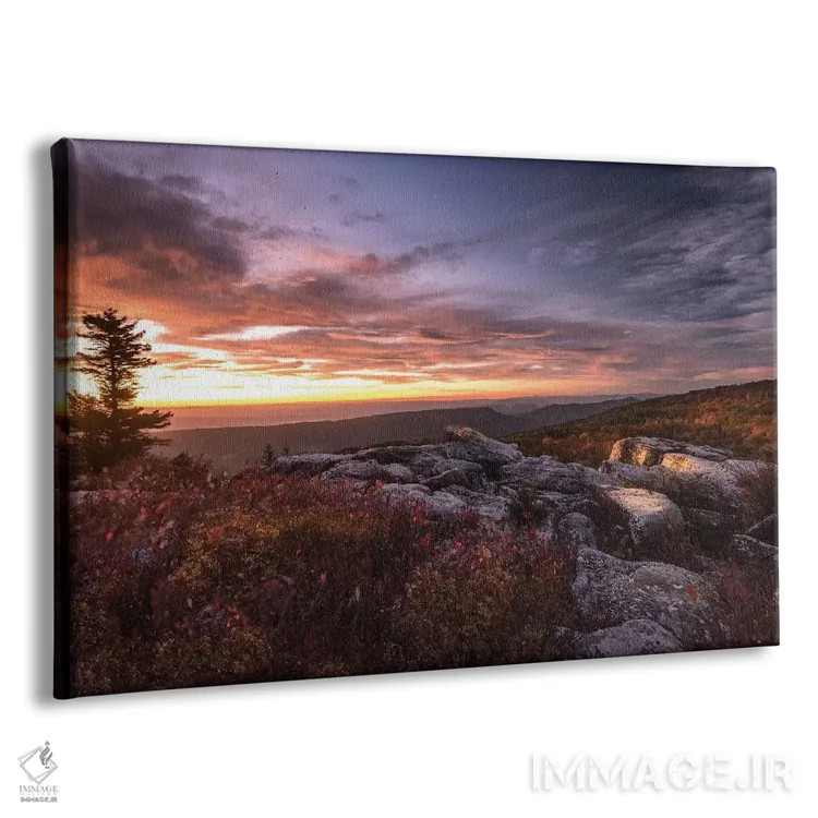 تابلو طلوع خورشید در پاییز III اثر اندی اموس - نمای پرسپکتیو محصول