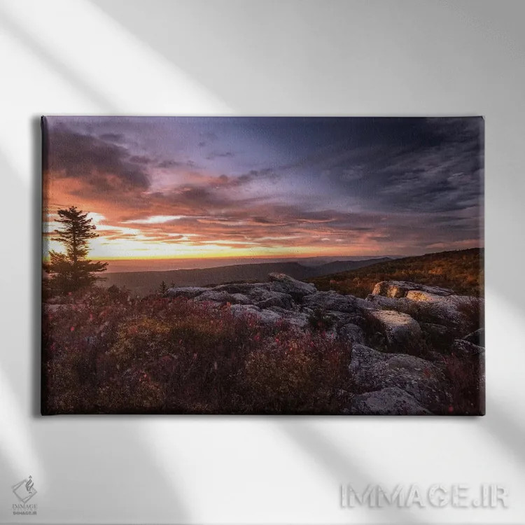 تابلو طلوع خورشید در پاییز III اثر اندی اموس - نمای روبهرو روی دیوار