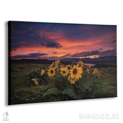 تابلو غروب در تنگه اثر اندی اموس - نمای پرسپکتیو محصول