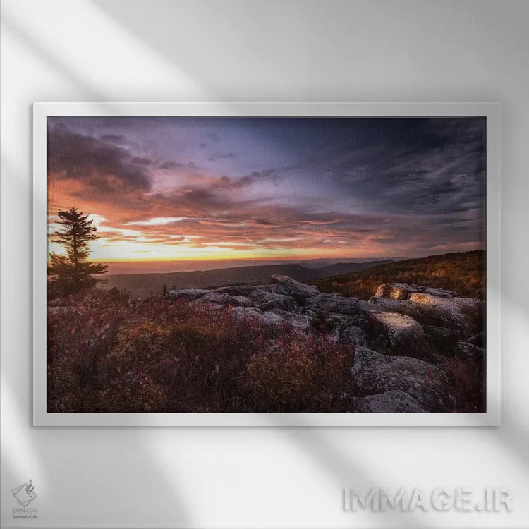 تابلو طلوع خورشید در پاییز III اثر اندی اموس - نمای قابدار سفید