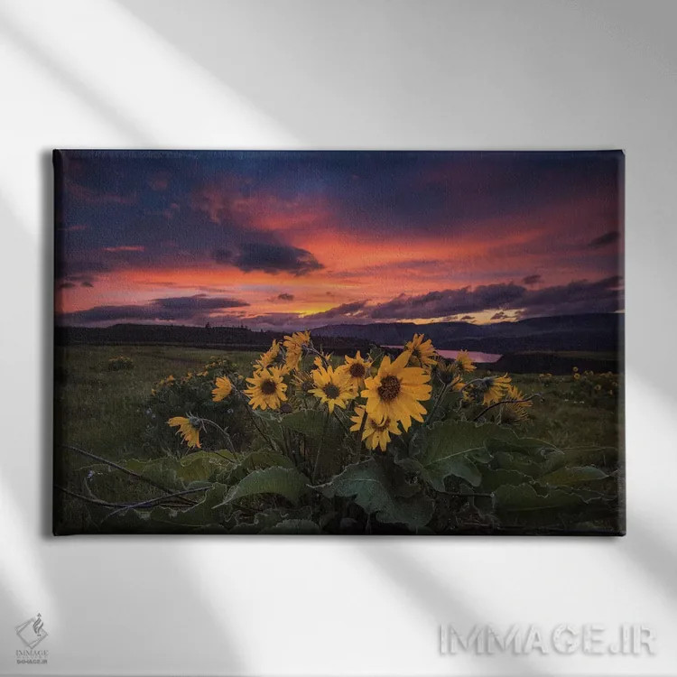 تابلو غروب در تنگه اثر اندی اموس - نمای روبهرو روی دیوار