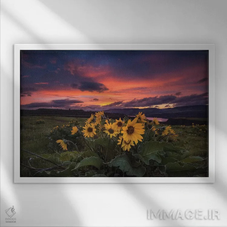 تابلو غروب در تنگه اثر اندی اموس - نمای قابدار سفید