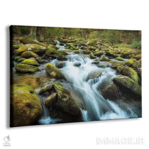 تابلو صخرههای خزهای اثر اندی اموس - نمای پرسپکتیو محصول