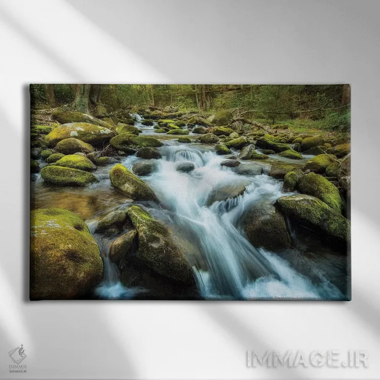 تابلو صخرههای خزهای اثر اندی اموس - نمای روبهرو روی دیوار