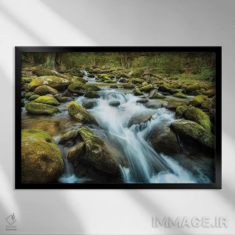 تابلو صخرههای خزهای اثر اندی اموس - نمای قابدار مشکی