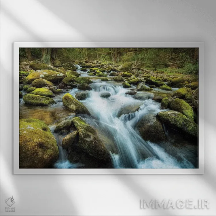 تابلو صخرههای خزهای اثر اندی اموس - نمای قابدار سفید