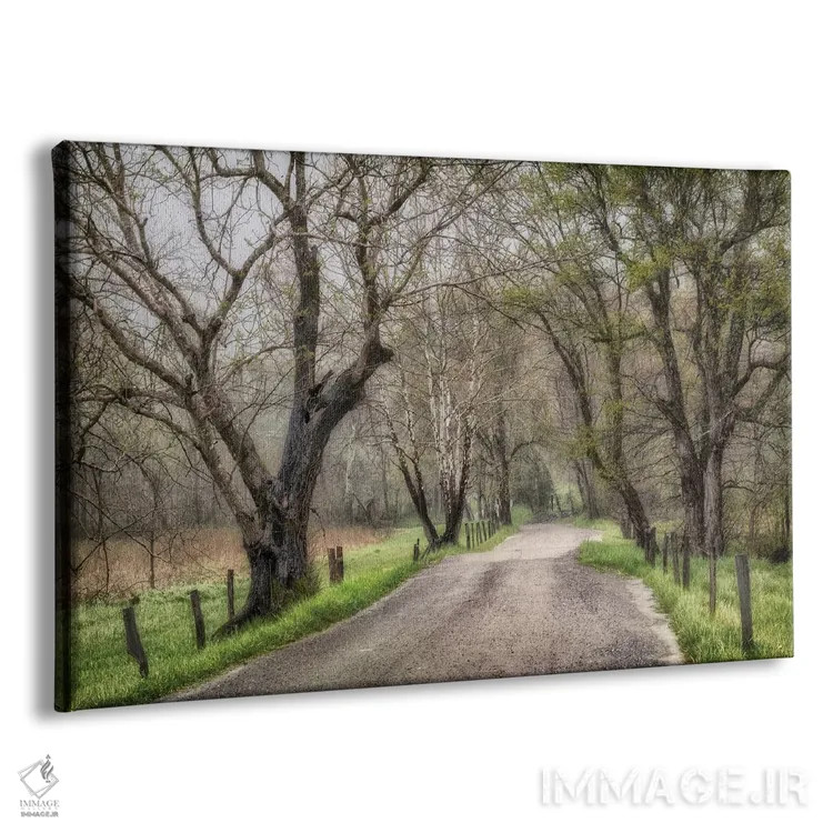 تابلو پیادهروی اواخر بعدازظهر اثر اندی اموس - نمای پرسپکتیو محصول