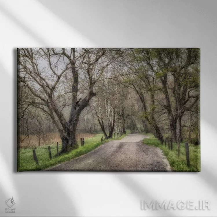 تابلو پیادهروی اواخر بعدازظهر اثر اندی اموس - نمای روبهرو روی دیوار