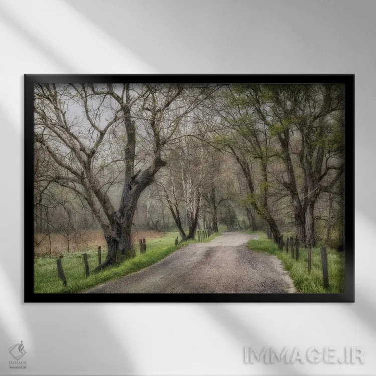 تابلو پیادهروی اواخر بعدازظهر اثر اندی اموس - نمای قابدار مشکی