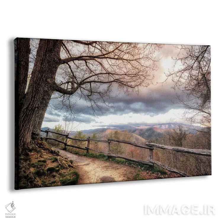 تابلو پیادهرویهای کوهستانی اثر اندی اموس - نمای پرسپکتیو محصول