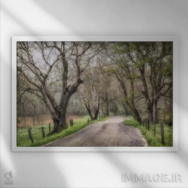 تابلو پیادهروی اواخر بعدازظهر اثر اندی اموس - نمای قابدار سفید