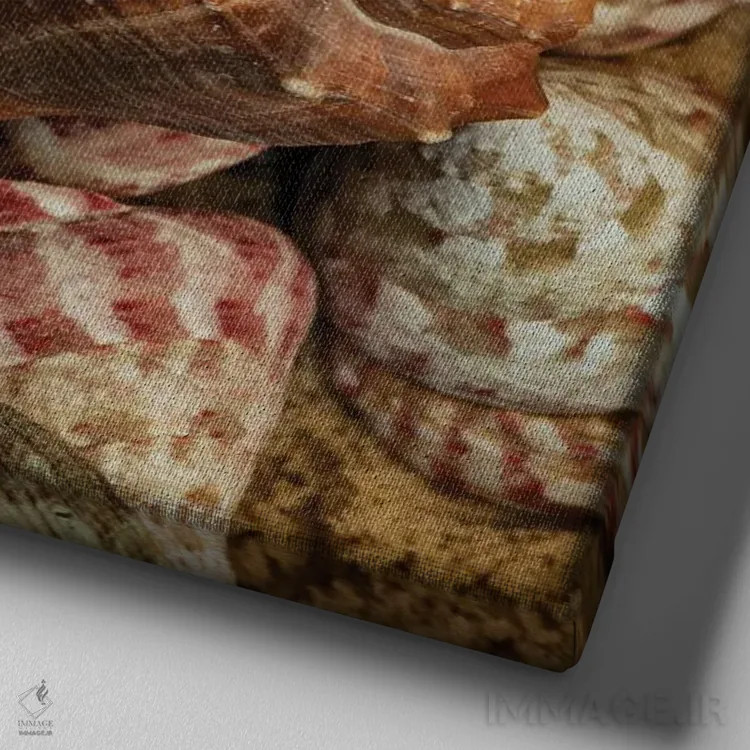 تابلو صدفهای کوچک حلزونی I اثر اندی اموس - نمای نزدیک بافت بوم