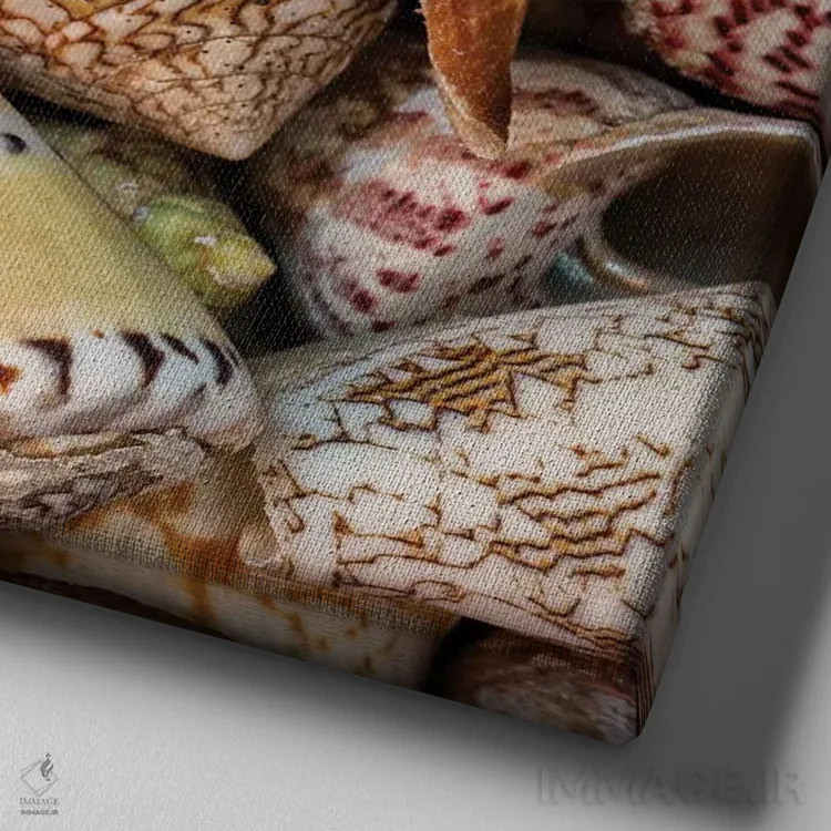 تابلو صدفهای کوچک حلزونی II اثر اندی اموس - نمای نزدیک بافت بوم